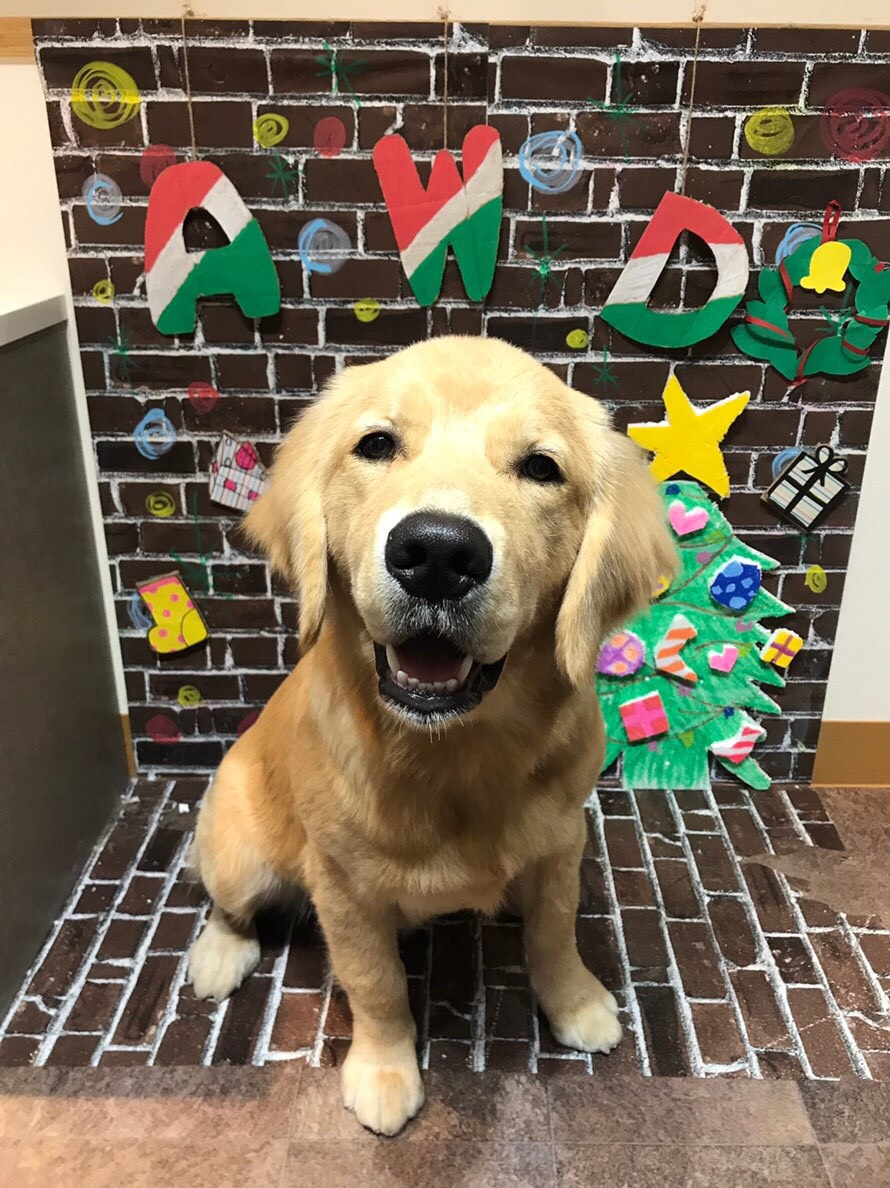 ファイル 6836-5.jpg