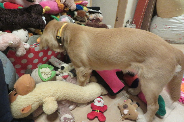 ファイル 6837-4.jpg