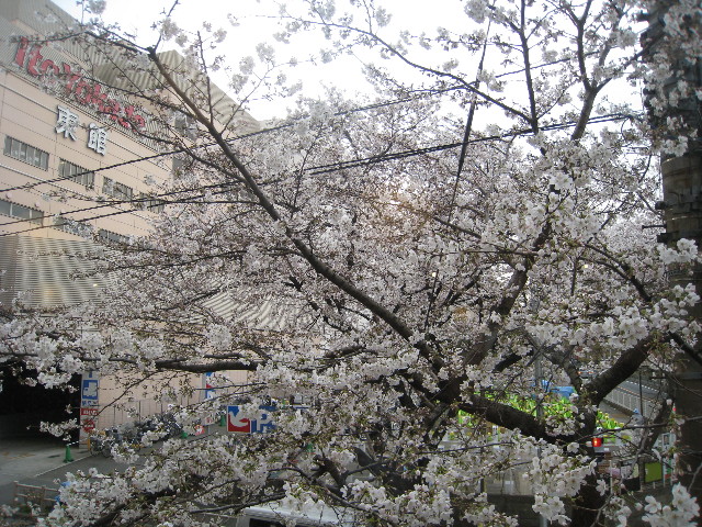 ファイル 684-4.jpg