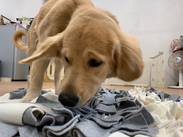 ファイル 6840-1.jpg