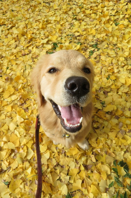 ファイル 6841-2.jpg