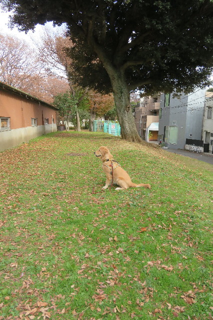 ファイル 6841-4.jpg