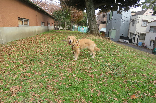 ファイル 6841-5.jpg