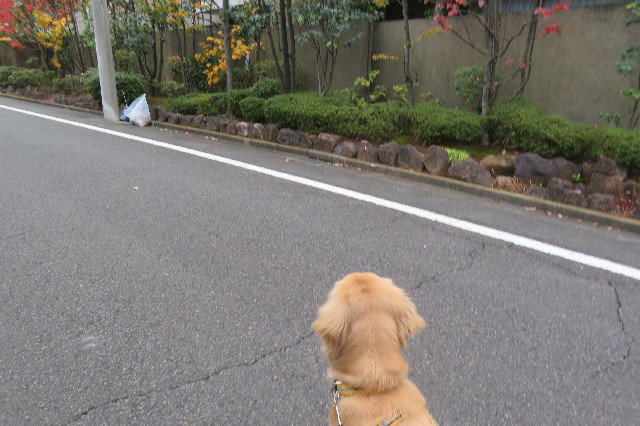 ファイル 6842-4.jpg