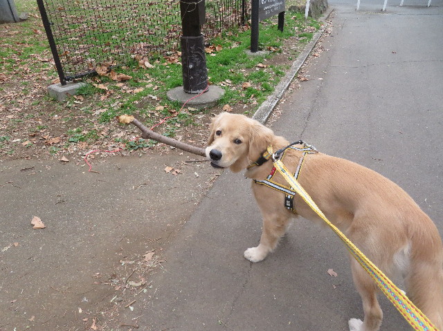 ファイル 6843-1.jpg