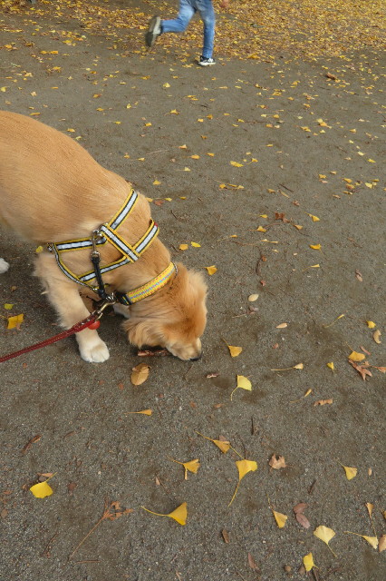 ファイル 6843-2.jpg