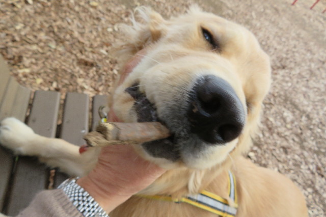 ファイル 6843-4.jpg