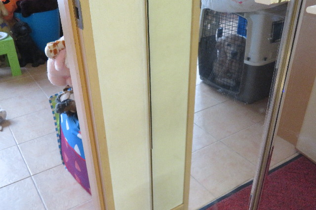 ファイル 6843-5.jpg