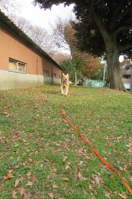 ファイル 6844-1.jpg