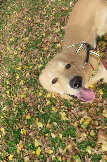 ファイル 6844-5.jpg