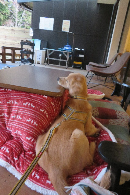 ファイル 6847-1.jpg