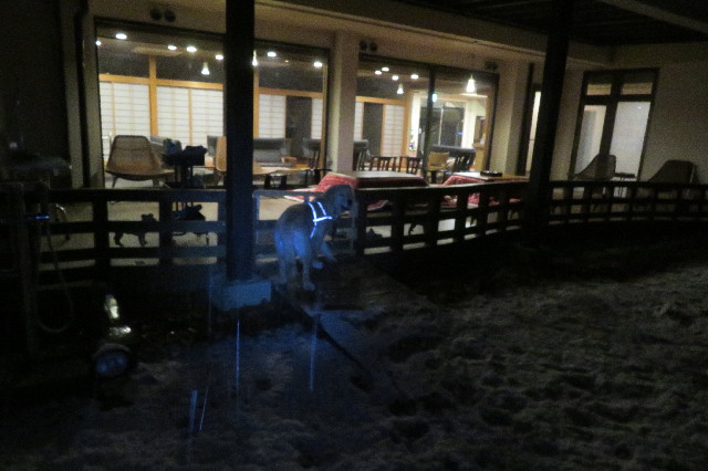 ファイル 6847-2.jpg