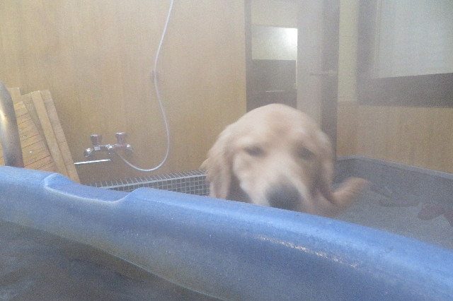 ファイル 6847-5.jpg