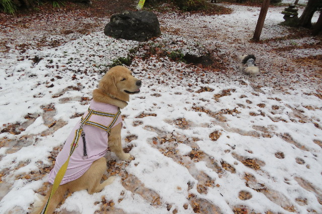 ファイル 6848-3.jpg