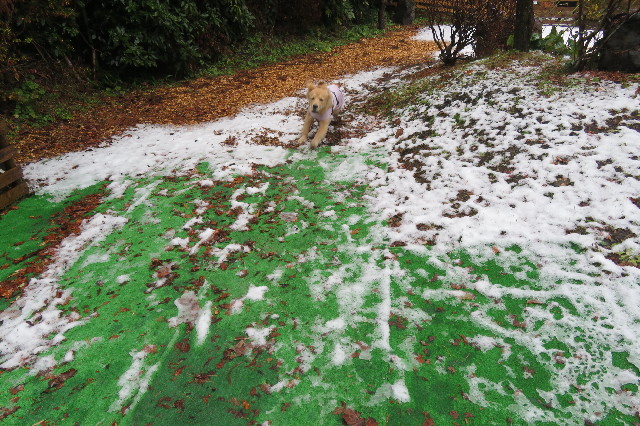 ファイル 6848-4.jpg