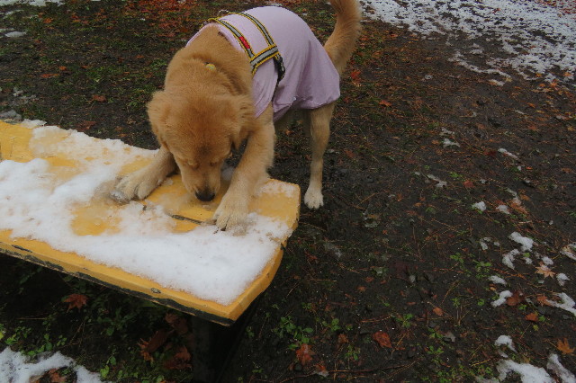 ファイル 6848-5.jpg