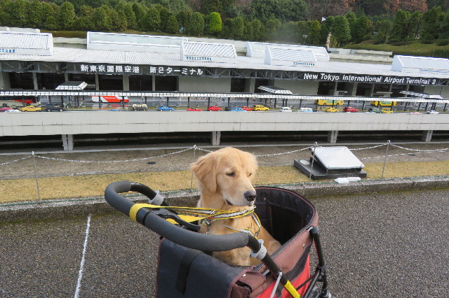 ファイル 6849-1.jpg