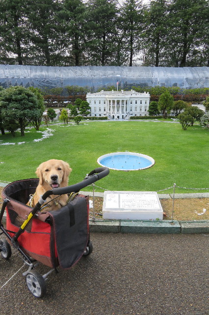 ファイル 6849-2.jpg