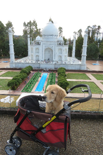 ファイル 6849-5.jpg