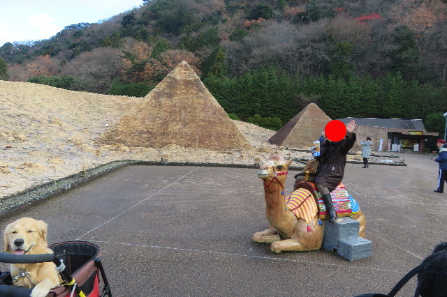 ファイル 6850-1.jpg