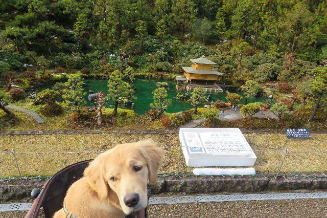 ファイル 6850-4.jpg