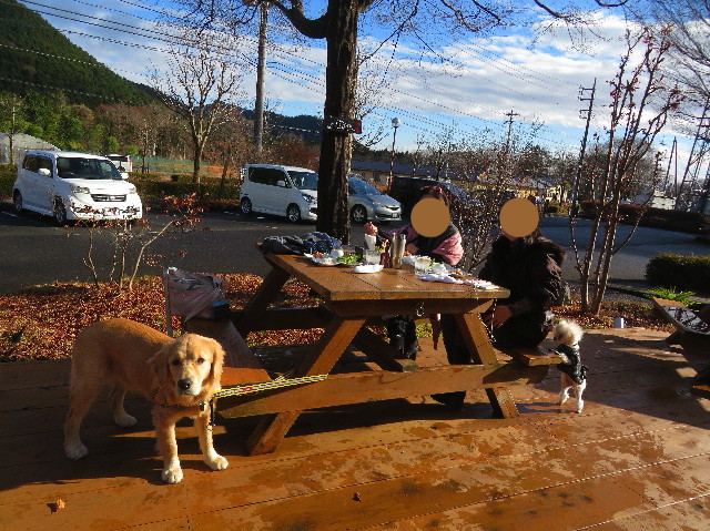 ファイル 6851-1.jpg