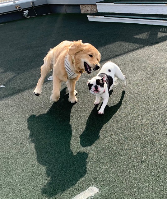 ファイル 6853-2.jpg