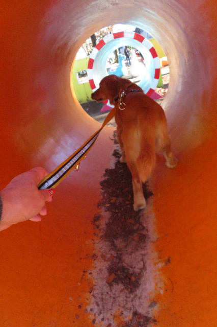 ファイル 6854-2.jpg