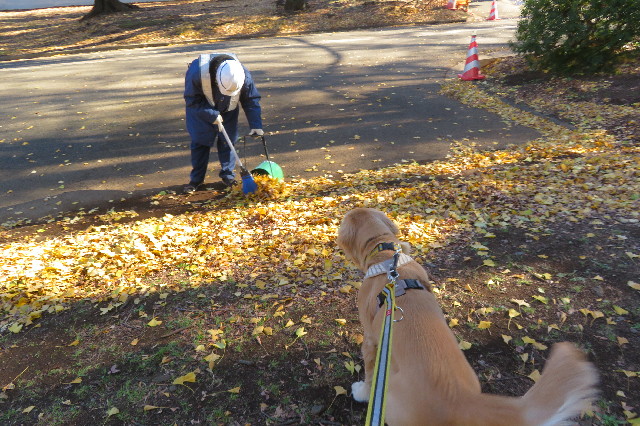 ファイル 6854-5.jpg