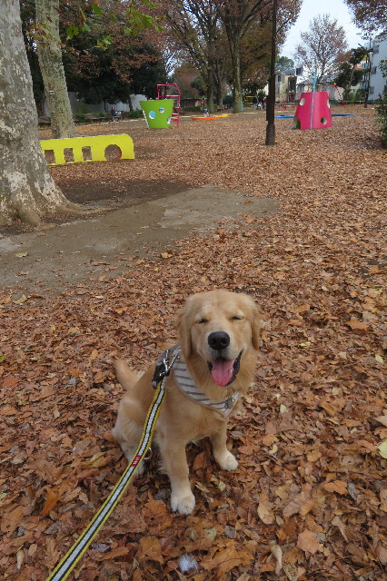 ファイル 6855-4.jpg