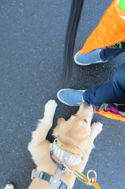 ファイル 6857-3.jpg