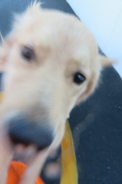 ファイル 6857-4.jpg