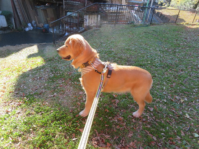 ファイル 6858-5.jpg