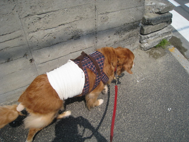 ファイル 686-1.jpg