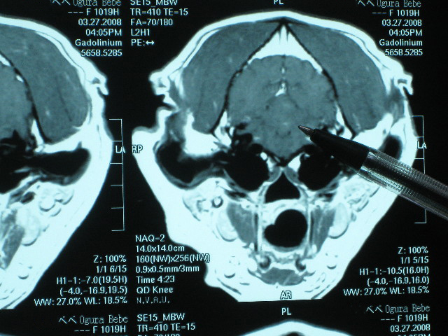 ファイル 686-4.jpg