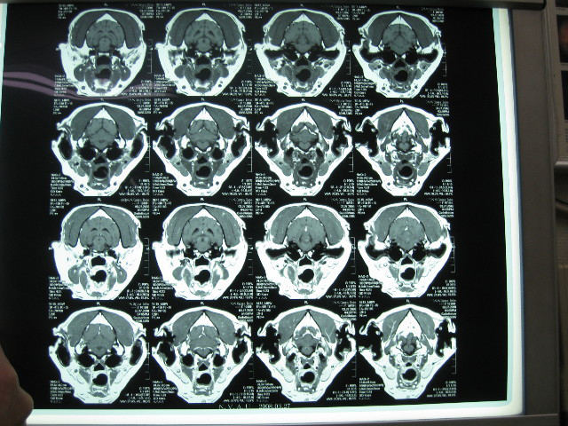 ファイル 686-5.jpg