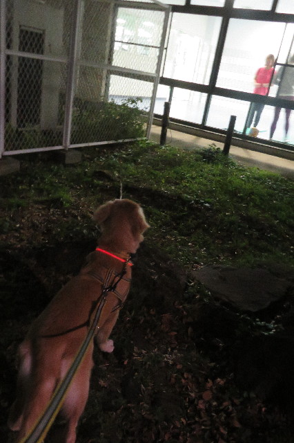 ファイル 6860-3.jpg