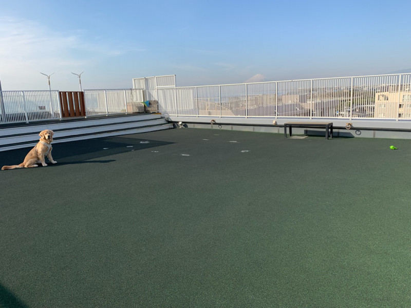 ファイル 6862-2.jpg