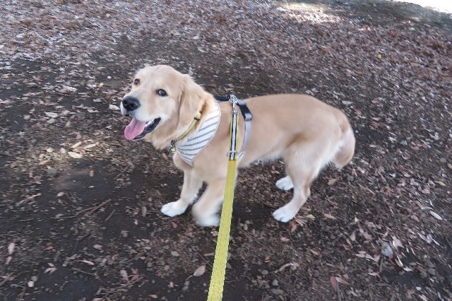 ファイル 6864-1.jpg