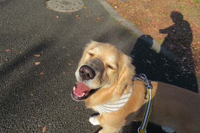 ファイル 6864-4.jpg