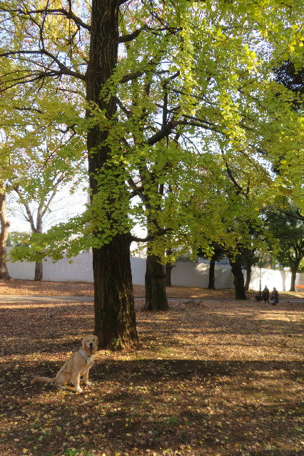 ファイル 6864-5.jpg