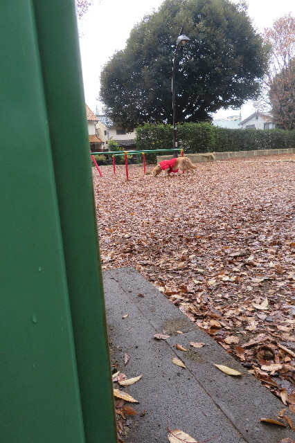 ファイル 6866-1.jpg