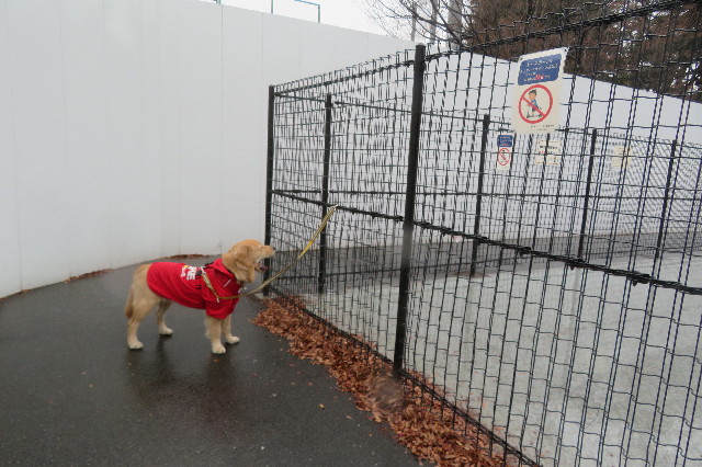 ファイル 6866-2.jpg