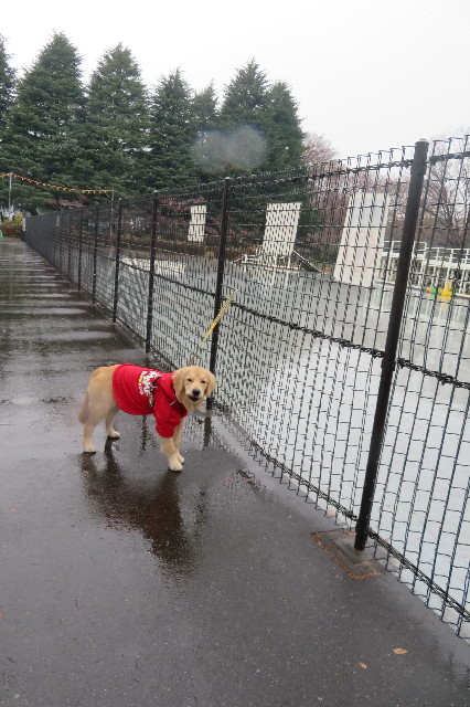 ファイル 6866-3.jpg