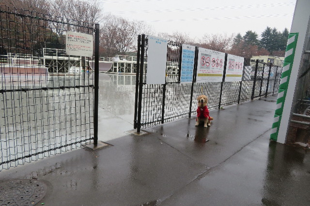 ファイル 6866-4.jpg