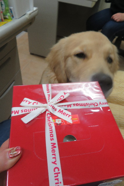 ファイル 6867-1.jpg