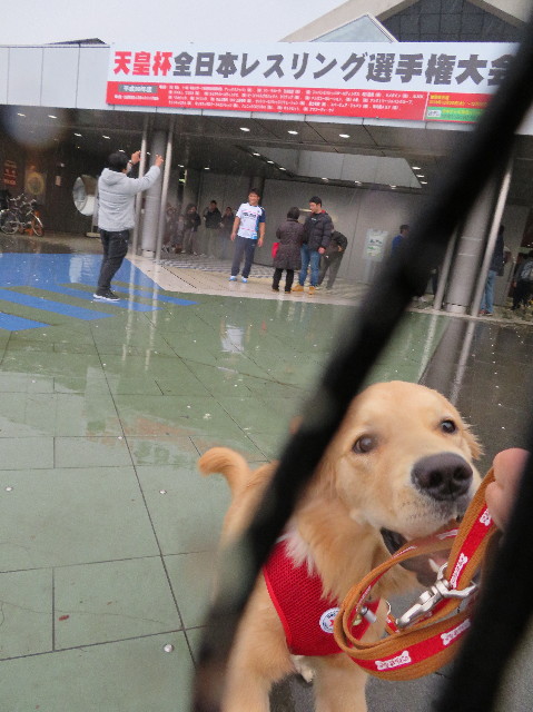 ファイル 6868-4.jpg