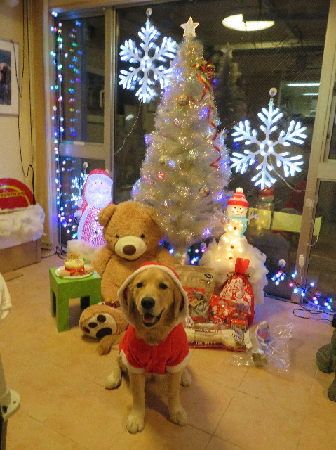 ファイル 6869-1.jpg