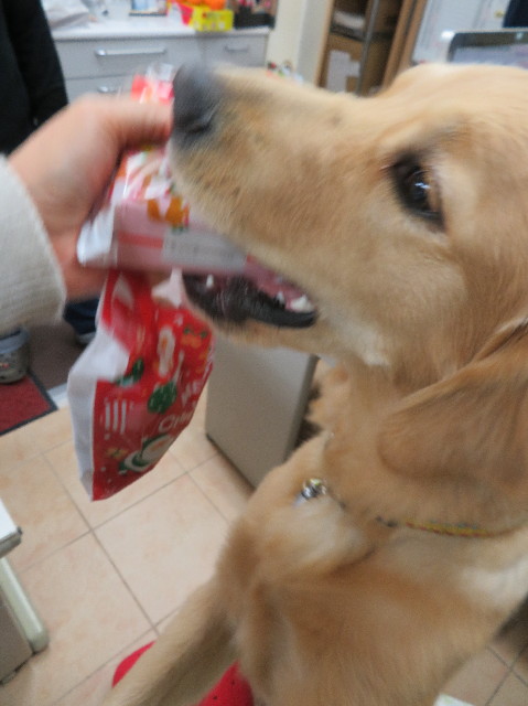 ファイル 6869-3.jpg