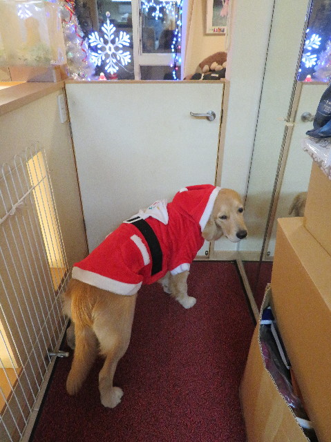 ファイル 6869-5.jpg